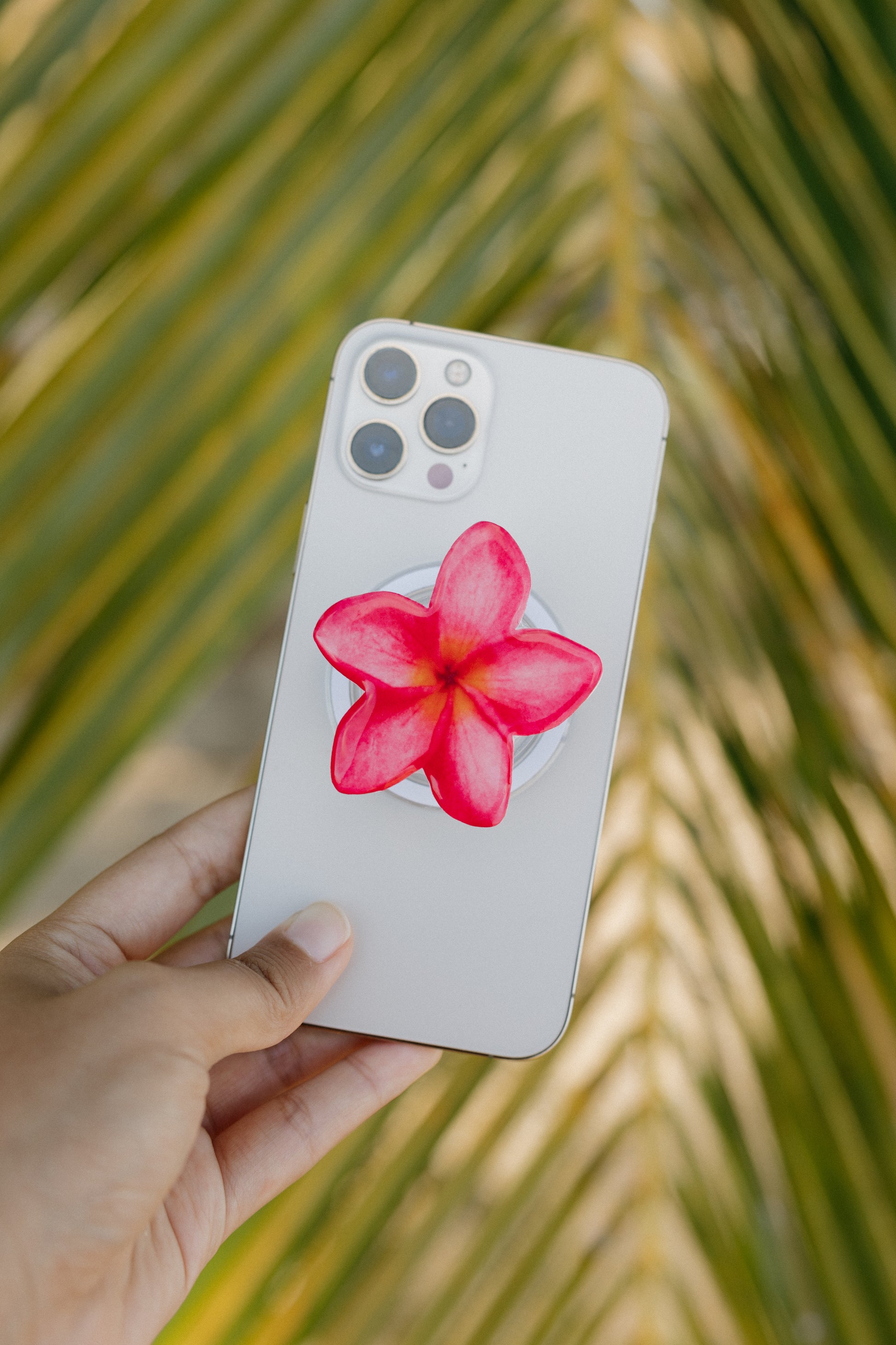 Pink Plumeria Phone Grip