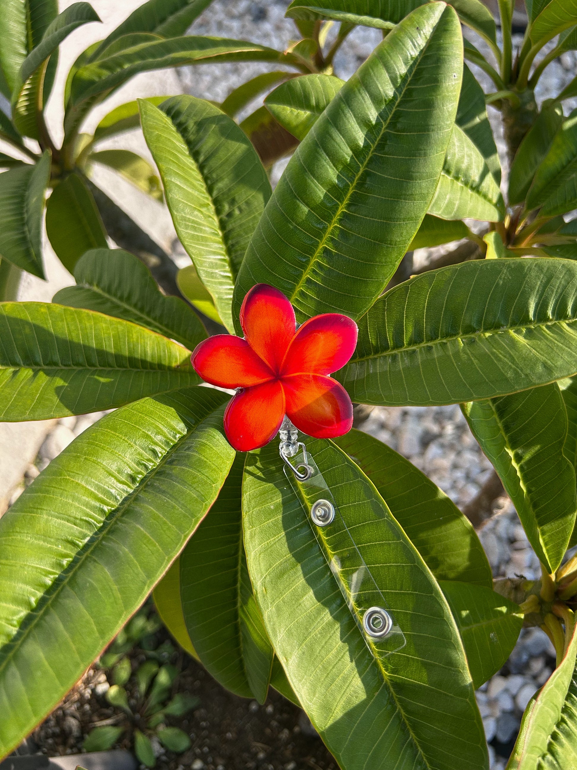Sunset Plumeria Badge Reel