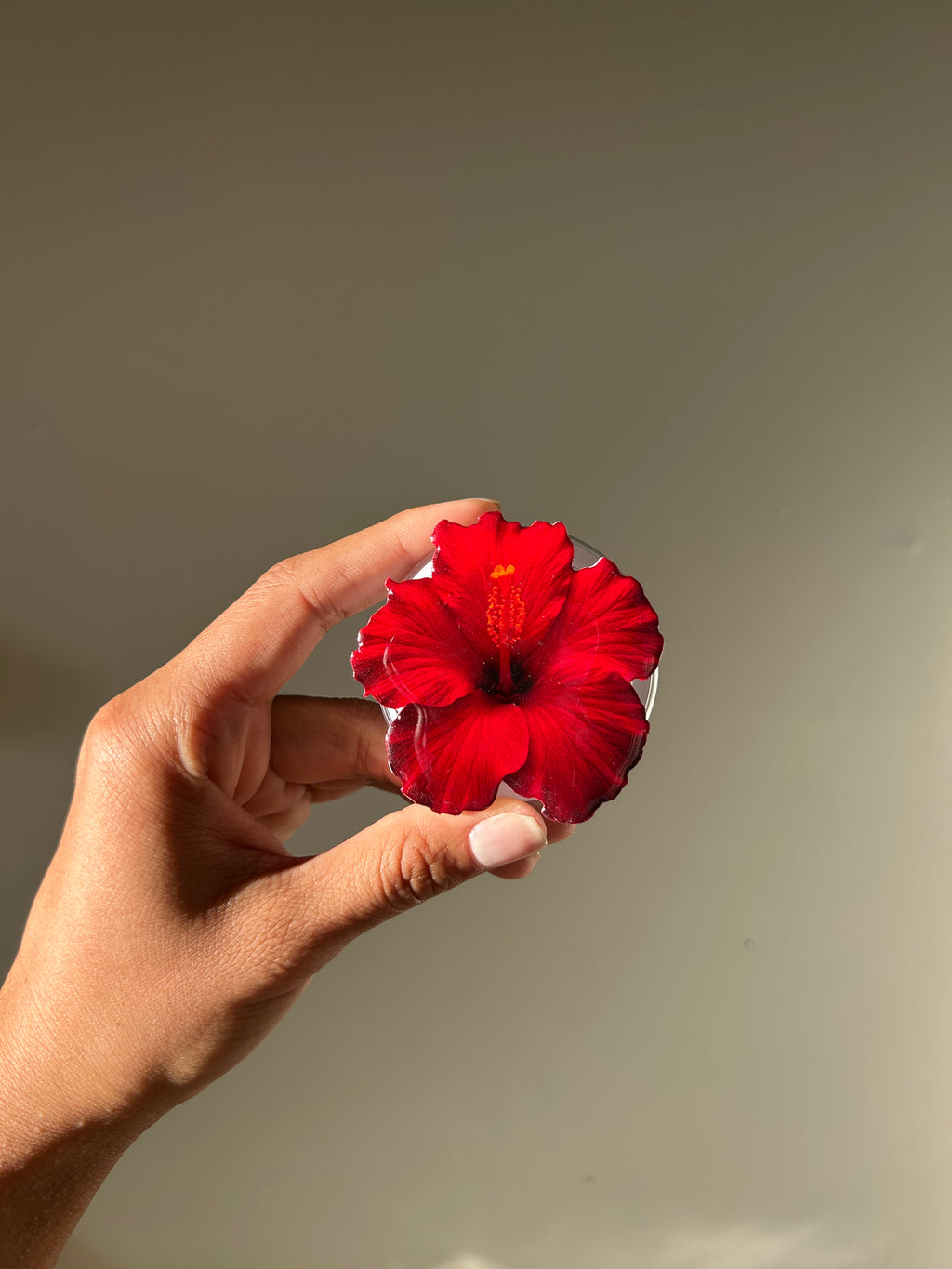Red Hibiscus Phone Grip