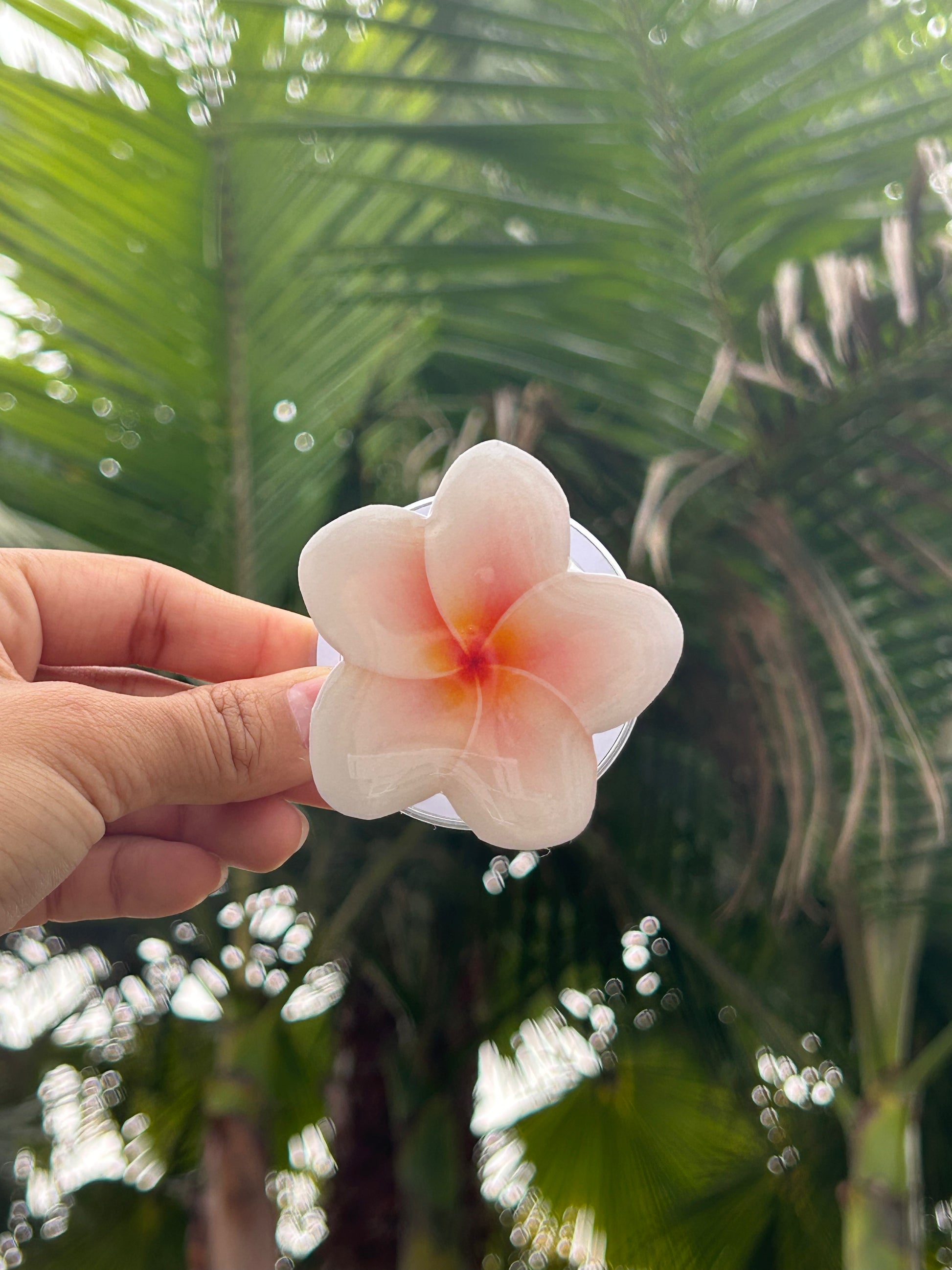 Pink and White Plumeria Phone Grip