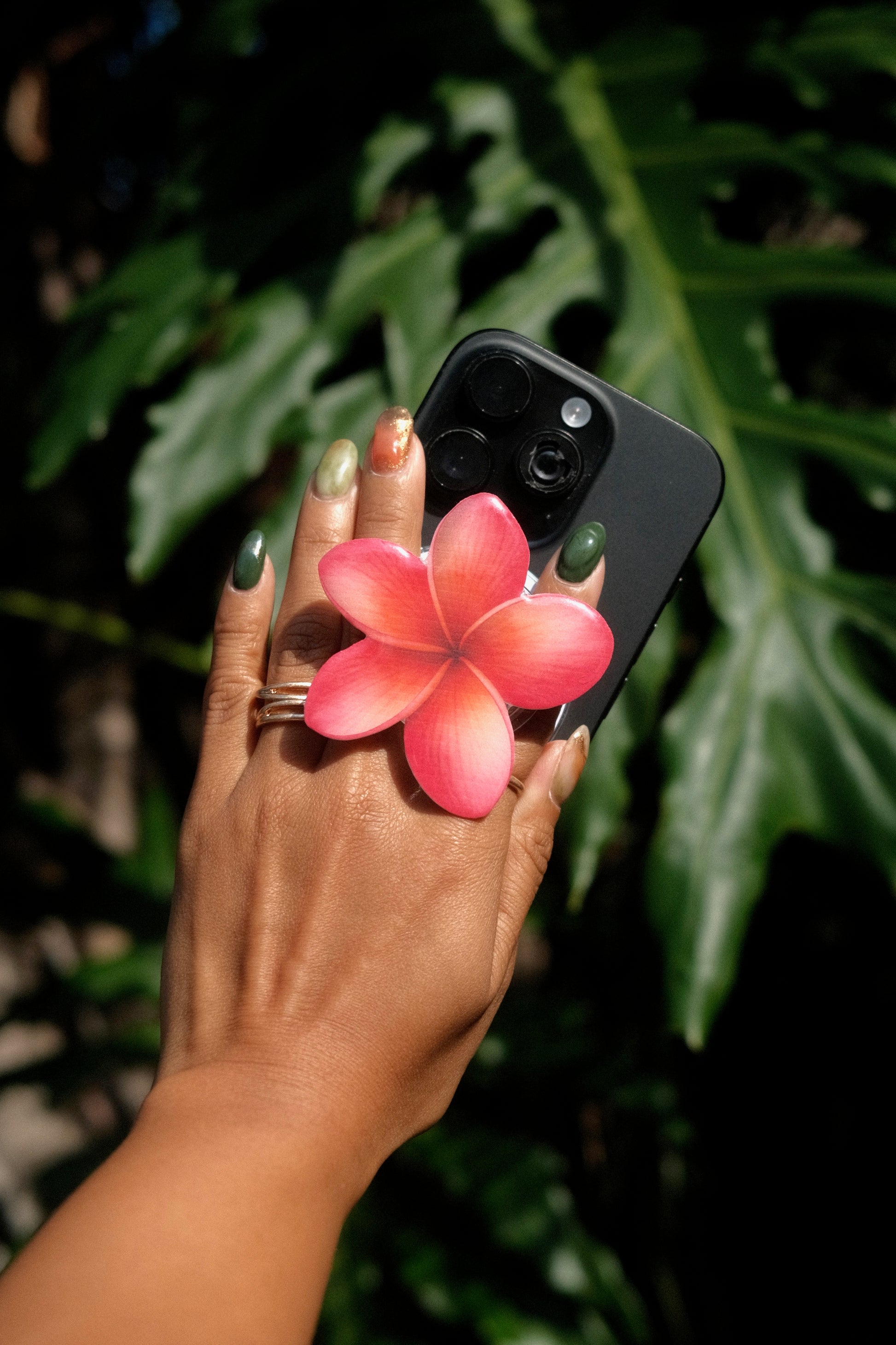 Orange and Pink Plumeria